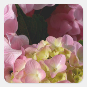 Pink Cream Hydrangeas yellow pink green floral  Square Sticker