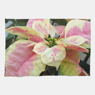 Pink Cream Poinsettia Tea Towel