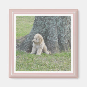 Pink Create Your Own Custom Personalised Photo Magnet