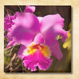 Pink Crimson Cattleya Orchid Magnet