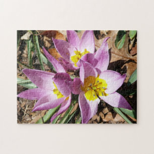 Pink Crocuses Early Spring Floral Jigsaw Puzzle