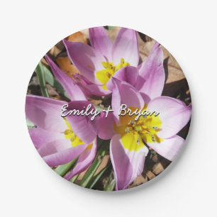 Pink Crocuses Spring Floral Paper Plate