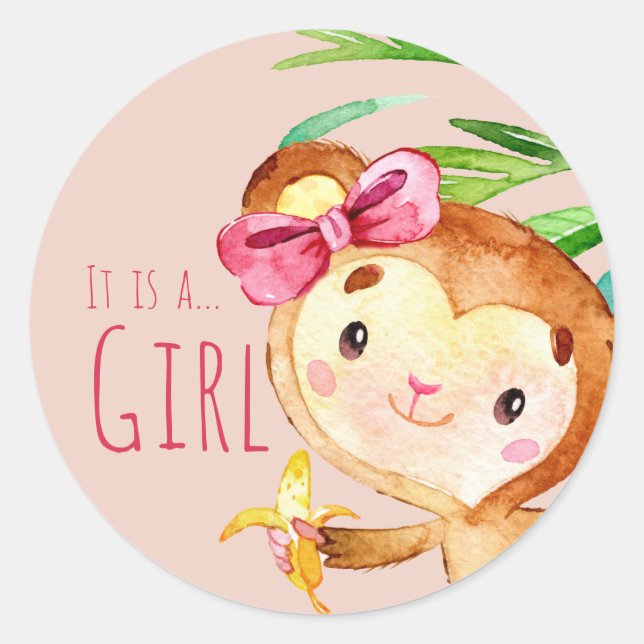 Pink Cute Monkey Baby Girl Announcement Classic Round Sticker (Front)