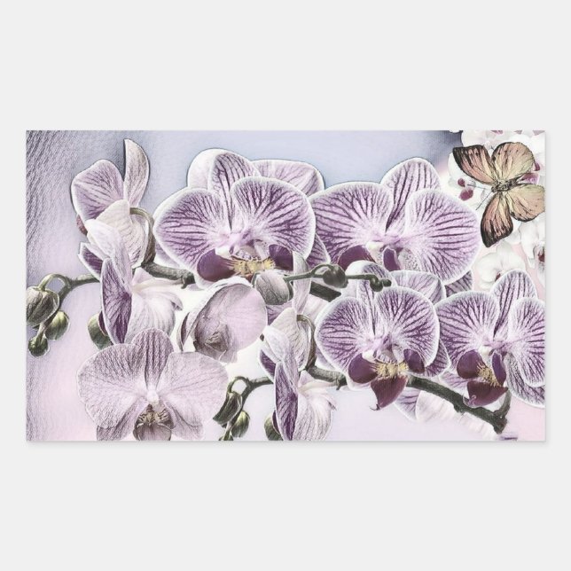 Pink cute orchid flowers and butterfly drawing  rectangular sticker (Front)
