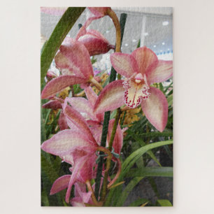 Pink Cymbidium Orchids Jigsaw Puzzle