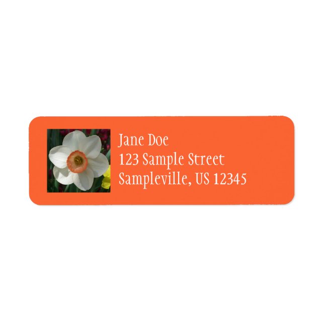 Pink Daffodil Beautiful Spring Flower Return Address Label (Front)