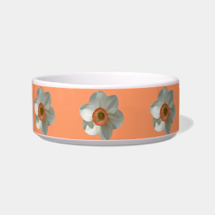 Pink Daffodil Spring Flower Bowl