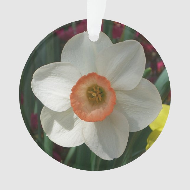Pink Daffodil Spring Flower Ornament (Front)