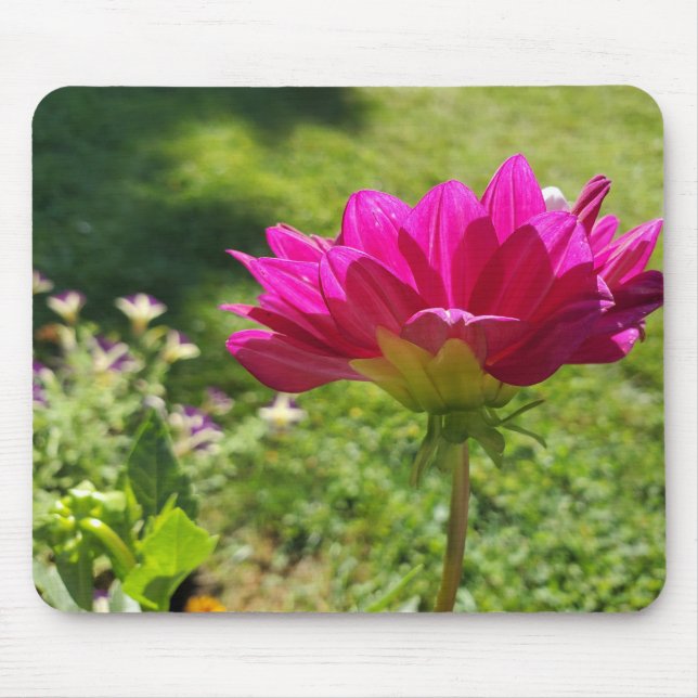 Pink Dahila Mouse Pad (Front)