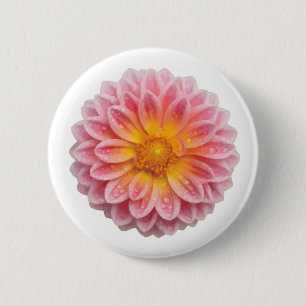 Pink Dahlia and Dew Drops 6 Cm Round Badge