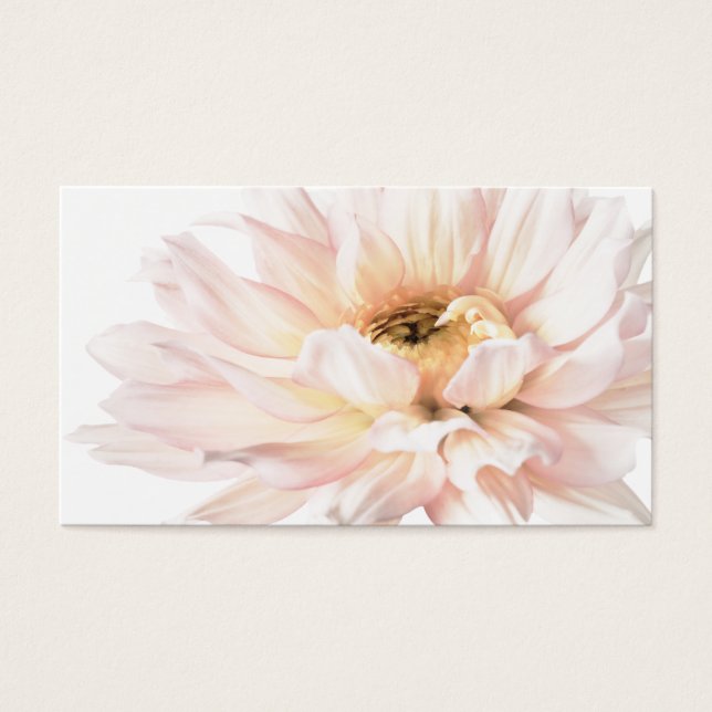 Pink Dahlia Artwork - Customise (Front)