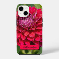 Pink Dahlia, Beautiful Flower Photography