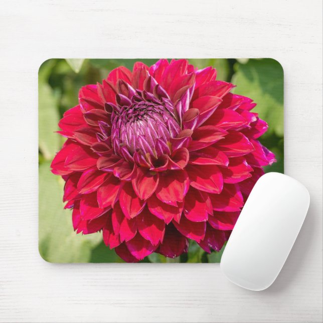 Pink Dahlia, Beautiful Flower Photography Mouse Pad (With Mouse)