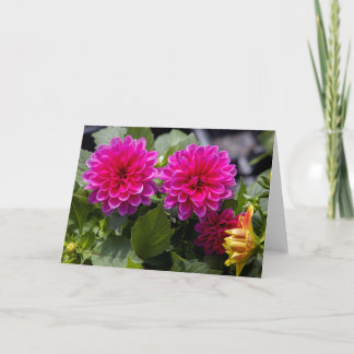 Pink Dahlia Blank Note Card