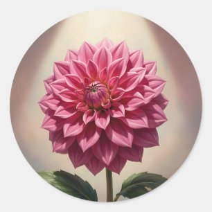 Pink Dahlia Flower Botanical Classic Round Sticker