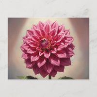 Pink Dahlia Flower Botanical