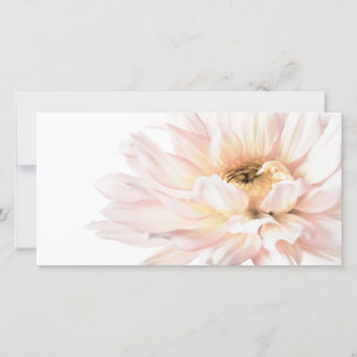 Pink Dahlia Flower - Dahlias Customised Template