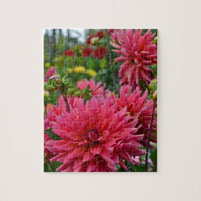 Pink dahlia flower garden jigsaw puzzle (Vertical)