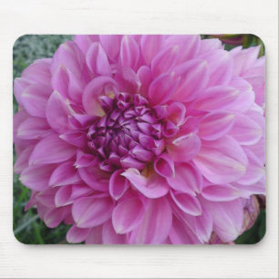 Pink Dahlia Flower Mousepad
