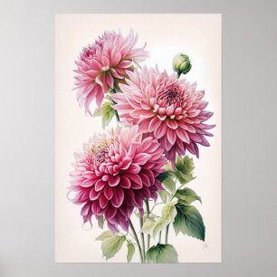 Pink Dahlia Flowers Art Print Poster