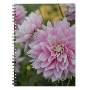 Pink Dahlia Flowers at RHS Garden Wisley Notebook