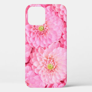 Pink dahlia flowers background. Top view.  iPhone 12 Case