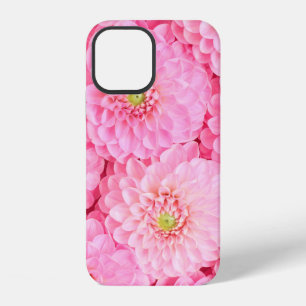 Pink dahlia flowers background. Top view. iPhone 12 Case