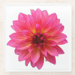 Pink Dahlia Glass Coaster