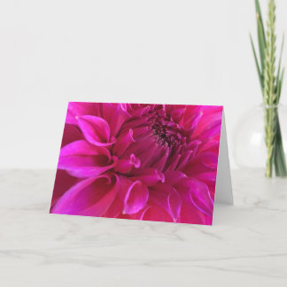 Pink Dahlia Greeting Card