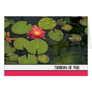 Pink Dahlia In Lily Pads