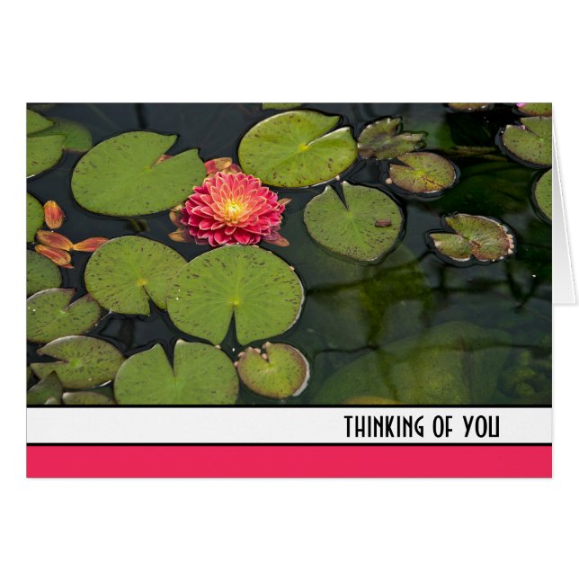 Pink Dahlia In Lily Pads (Front Horizontal)