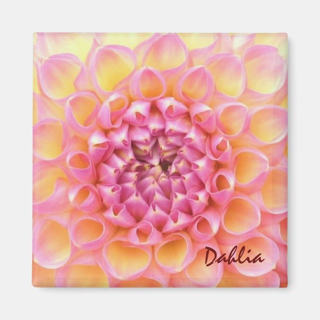 Pink Dahlia Magnet (Front)