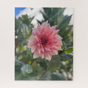 Pink Dahlia, Palo Alto Jigsaw Puzzle