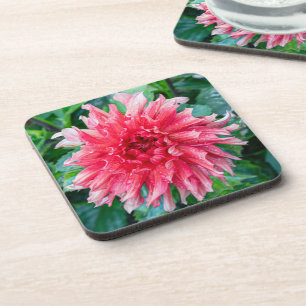 Pink Dahlia Photography, Canadian Beauty Coaster