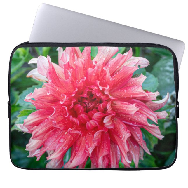 Pink Dahlia Photography, Canadian Flower Laptop Sleeve (Front)
