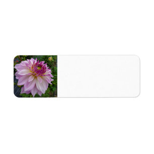 Pink Dahlia Return Address Label