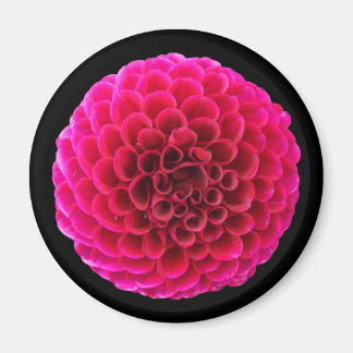 Pink Dahlia Round Fridge Magnet Floral Gift