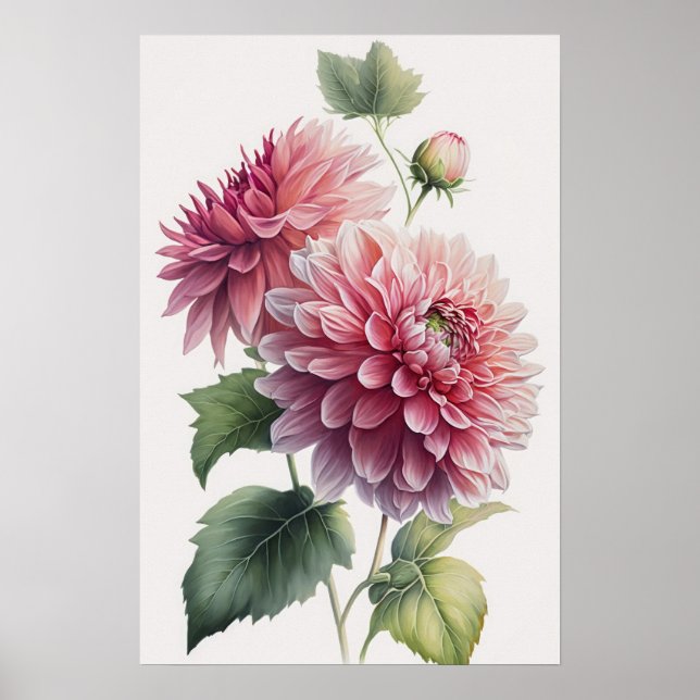 Pink Dahlias Flower Art Print Poster (Front)
