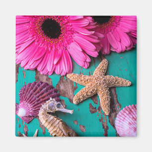 Pink Daises And Seahorse With Starfish Magnet