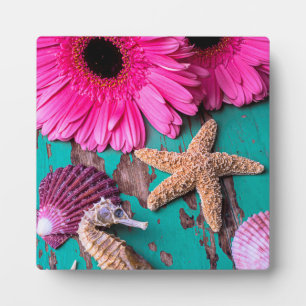 Pink Daises And Seahorse With Starfish Plaque