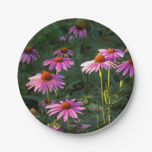 Pink Daises paper plate