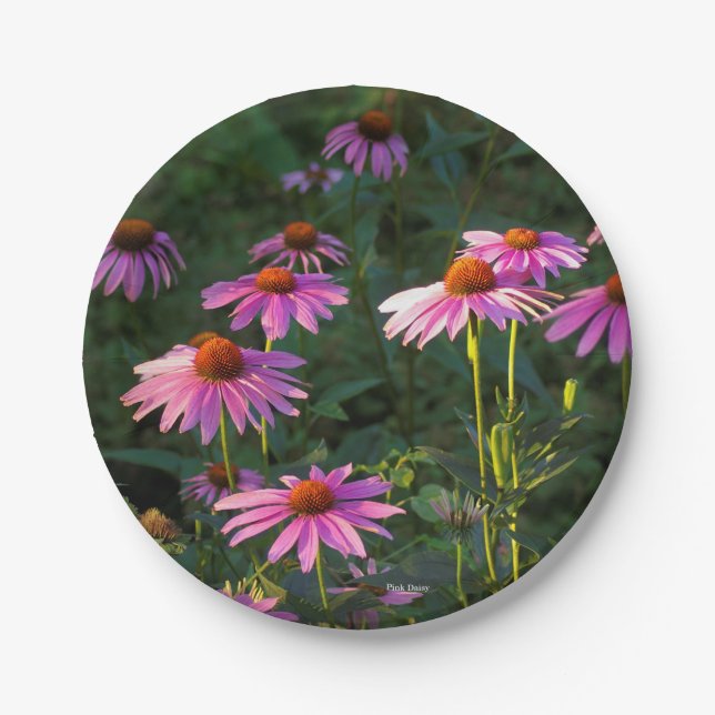 Pink Daises paper plate (Front)