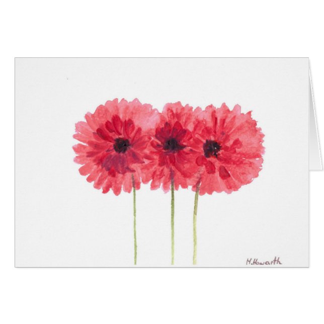 pink daisies flowers (Front Horizontal)