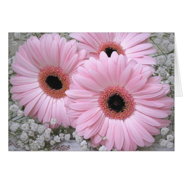 Pink Daisies-Gerberas blank card (Front Horizontal)