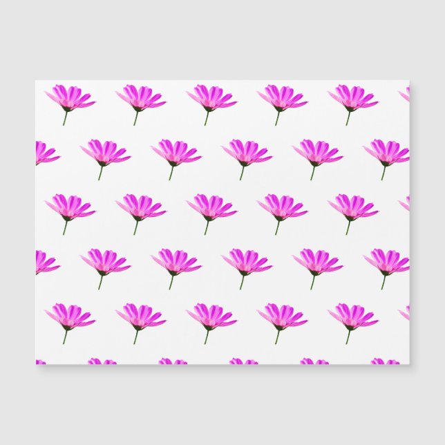 Pink Daisy (Front)