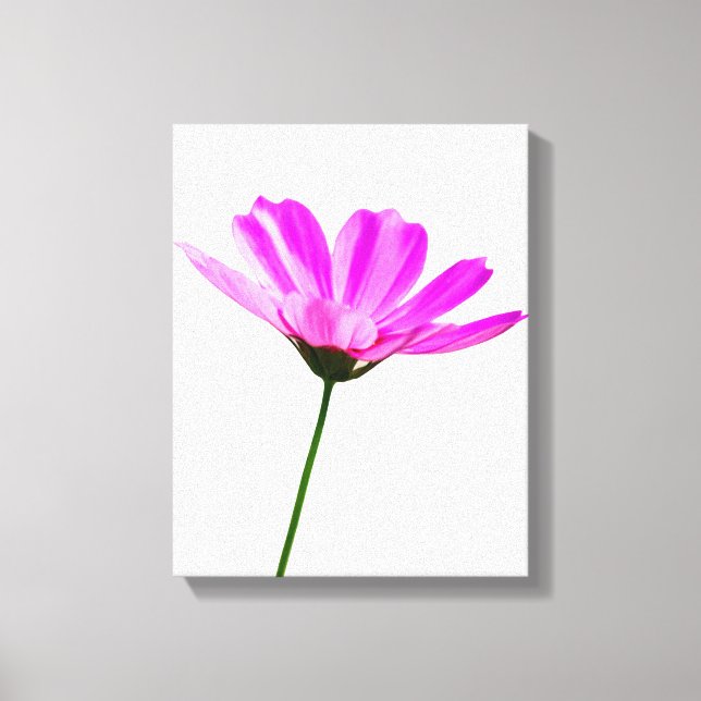 Pink Daisy   Canvas Print (Front)