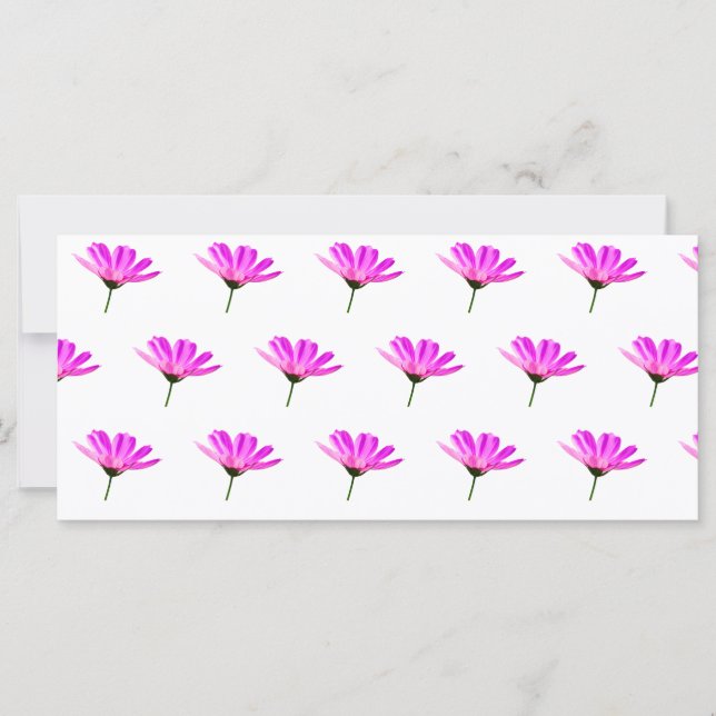 Pink Daisy  Card (Front)