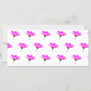 Pink Daisy  Card