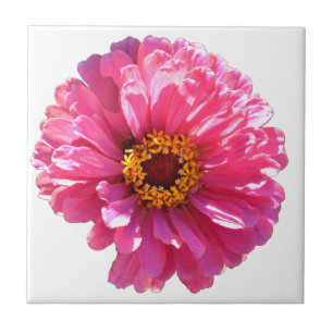 Pink Daisy Ceramic Tile