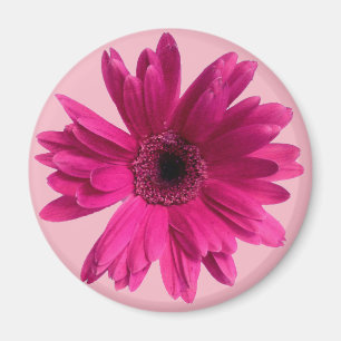 Pink Daisy emoji Magnet